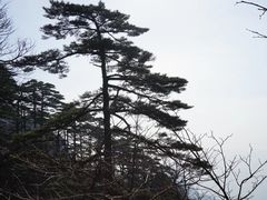 -自游人·美食一楼·地道徽菜(三十年名店)