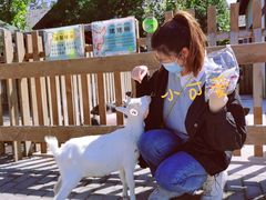 -太阳岛度假酒店