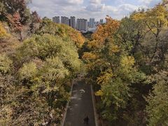 -北山公园
