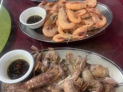 -大湾区中央湿地公园-十九涌