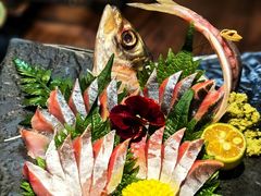 -一豚轩·烧鸟·豚骨拉面(五四路店)