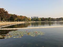 -尚贤河湿地
