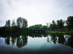 -溱湖国家湿地公园