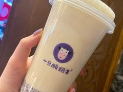 -一只酸奶牛(八一路店)