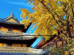 -龙华寺