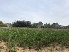 -游龙石文化科普馆