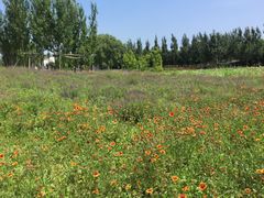 -渔岛海洋度假区