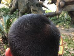 -自然谷恐龙园