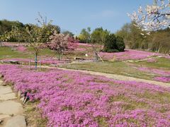 -棒棰岛宾馆景区