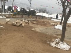 -白鹿原影视城