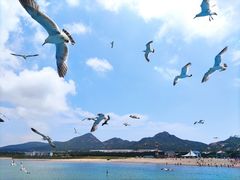 -海驴岛(荣成市)