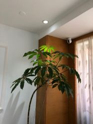 -HEYAN荷妍专业脱毛连锁机构