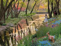 -上海共青森林公园