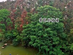 -象山森林公园
