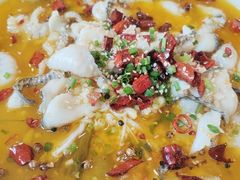 -椿记烧鹅(叠彩店)