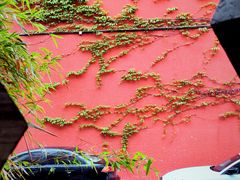 -海峡创意产业园