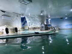 -北戴河圣蓝海洋公园