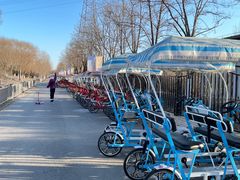 -永定河休闲森林公园