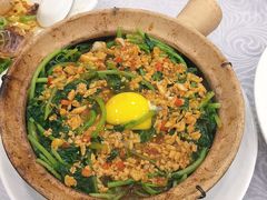 窝蛋肉碎菜苗-粤·向群饭店(龙津东路总店)