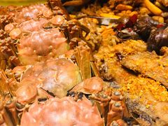 -日进一片海.生腌海鲜火锅.宵夜烧烤(三里屯总店)
