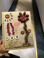 -保丽宝泰母婴护理院·月子中心·产康·中医(常州店)