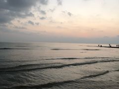 -贝壳沙滩