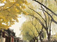 -后海公园