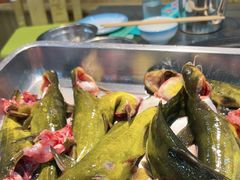 -屯老二农家铁锅炖·行业领军者(天通苑店)