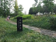 -白鹭湾湿地公园