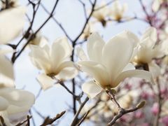 -九里河湿地公园