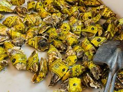 -南海底小海鲜·湘菜(鲁巷吴家湾店)
