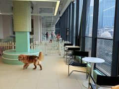 -怪兽屋·羊驼·猫咖·狗咖(俊华广场店)