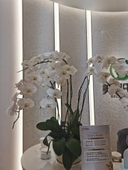 -美丽田园