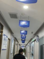 -碧莲盛不剃发植发