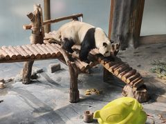 -青藏高原野生动物园