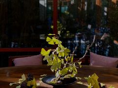 -腾冲和顺柏联酒店