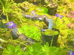 -北京植物园-展览温室