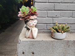 -庐灶江南·江南菜·四合院Bistro(东直门·华侨夜泊君亭店)