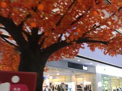 -万达茂商场(南京仙林店)