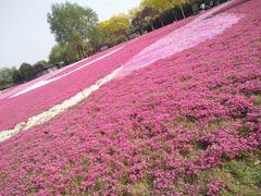 -石家庄市植物园