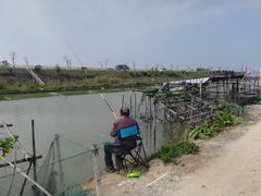 -大湾区中央湿地公园