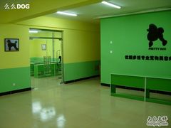 -优缇多格专业宠物美容师培训学校