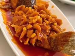松鼠桂鱼-大鸿运酒店·苏州菜·松鼠桂鱼(观前街店)