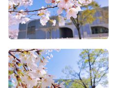 -龙美术馆(西岸馆)