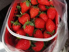 -王万妈卤猪脚(青岩交通路)