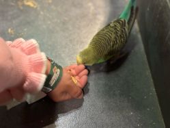 -酷嗒动物文化乐园(cutezoo西溪乐天城店)