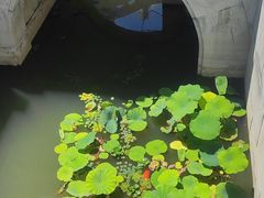 -沧州文庙