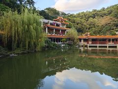 -深圳仙湖植物园