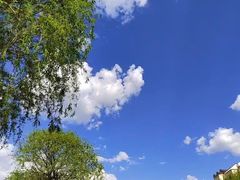 -帽儿山风景区