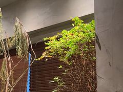 -森SPA·泰式按摩·精油Massage(宝安中心店)